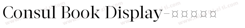 Consul Book Display字体转换